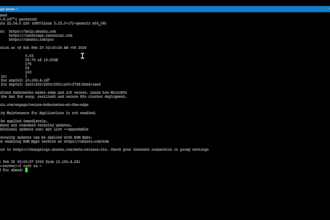setup, secure and optimize your vps linux server
