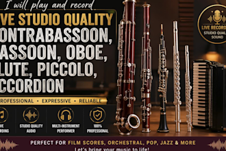 play and record live contrabassoon, bassoon, oboe, flute, piccolo, accordion