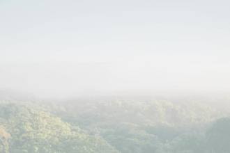 wix website design  wix redesign wix landing page wix website build wix website