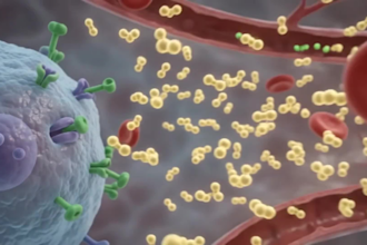 create 3d medical animation anatomy cellular and scientific explainer video
