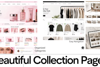 design and develop a shopify website and professional shopify dropshopping store