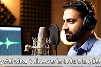 pro video editor and voiceover artist