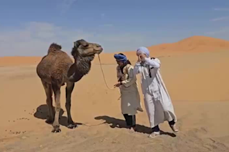 wish a happy birthday video from the sahara desert