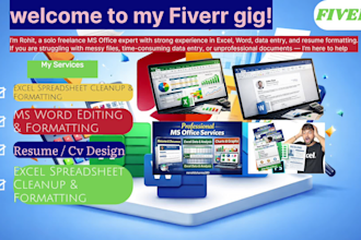 do professional data entry, ms excel and ms word work