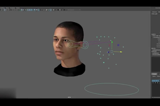 3d iclone, animate,rig 3d avatar,3d face expression, lips sync,rig animaze model