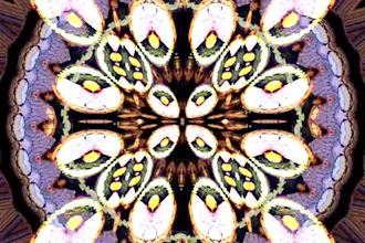 make you an audio reactive music video