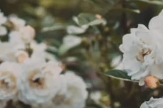 edit aesthetic reels and  short videos