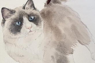 create realistic pet portraits in watercolor or pencils