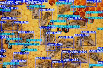 build computer vision, ocr, image processing and yolo solutions