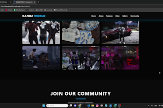 create a professional responsive website for your fivem server