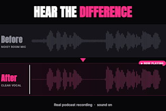 clean audio remove background noise or sync audio  to video