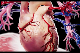 create realistic 3d medical animation, surgical explainer and healthcare video