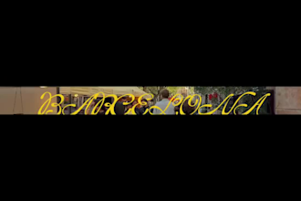 edit reels, wedding videos, travel videos and vsls