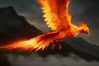 create a bird phoenix intro animation with your logo, reveal