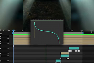 do video editing and graphics designing