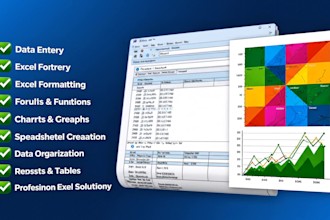 do microsoft excel assignments, projects and any tasks