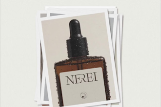 create a luxury branding kit logo and canva brand identity