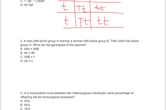 provide biology mcqs with detailed explanations