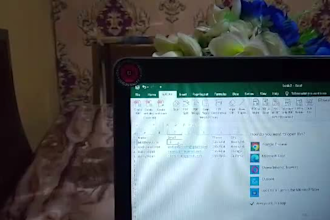 do data entry, microsoft excel, and PDF to excel conversion