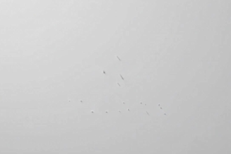 create a clean 2d logo animation for your brand