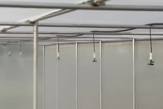 design a professional  irrigation systems