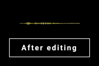 optimize audio for any purpose including podcast and youtube