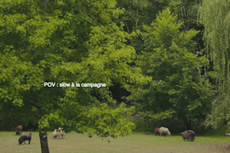 créateur ugc photos vidéos prémium