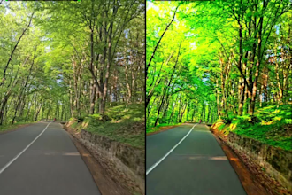 do video color grading and video editing