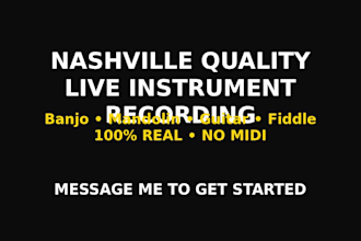 record nashville quality banjo, mandolin, guitar, or fiddle tracks, pedal steel