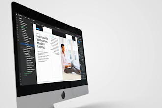 fix, improve and customize your webflow or wordpress website