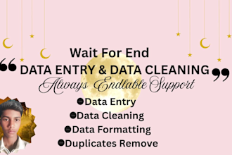 clean, entry, format, merger, split excel data