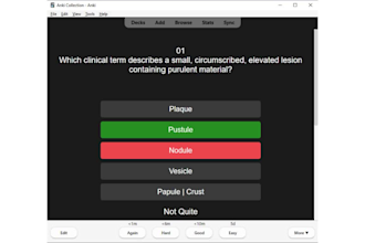 create mcqs anki flashcards and make quizlet flashcards