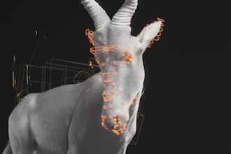 do realistic 3d animal animation, 3d creature with xgen hair, 3 horse model, vfx