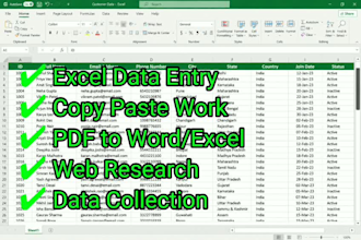 do accurate data entry, excel data cleaning and copy paste work