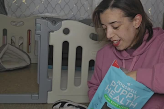 create engaging short form ugc pet videos for your brand
