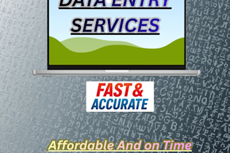 do accurate data entry,copy paste,web search and excel work