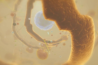 create pharmaceutical mechanism of action moa 3d animation