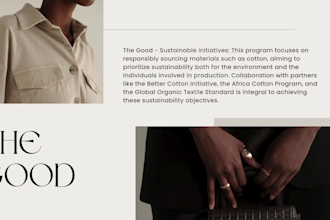 create professional powerpoint presentations for your business
