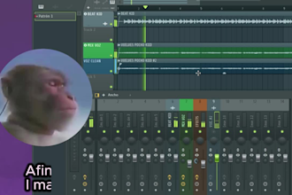 mix and manually tune your vocals in less than 24 hours