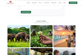 develop a professional website or web application for your busine