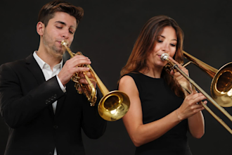 be your horns, trombone, brass, trumpet live studio quality player for your song