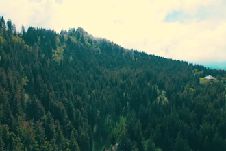 create professional video edit, youtube video editing