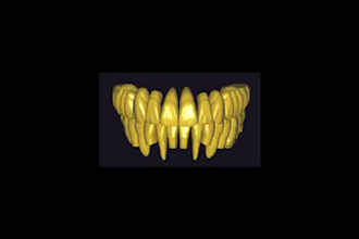 provide exocad teeth library for professional dental design