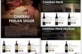 design a professional catalog and company profile