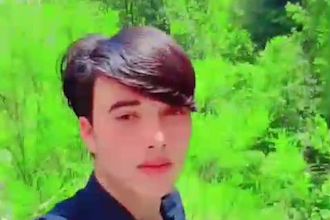 do data entry copy paste