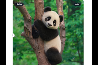 transform your pet or photo into a 3d pixar movie character poster