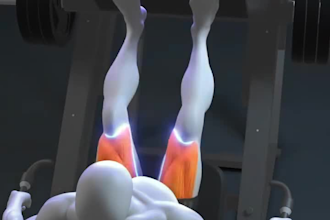 3d anatomy, 3d body building , 3d physical fitness, 3d body strength , 3d welnes
