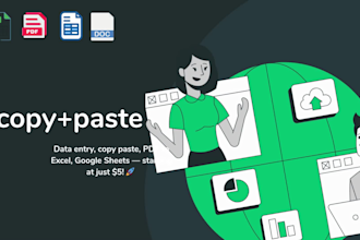 fast and accurate exel data entry  quality guaranteed