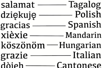 fast and accurate translation service for all languages