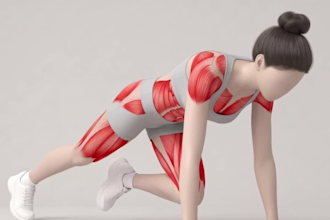 create professional 3d workout and exercise animation videos